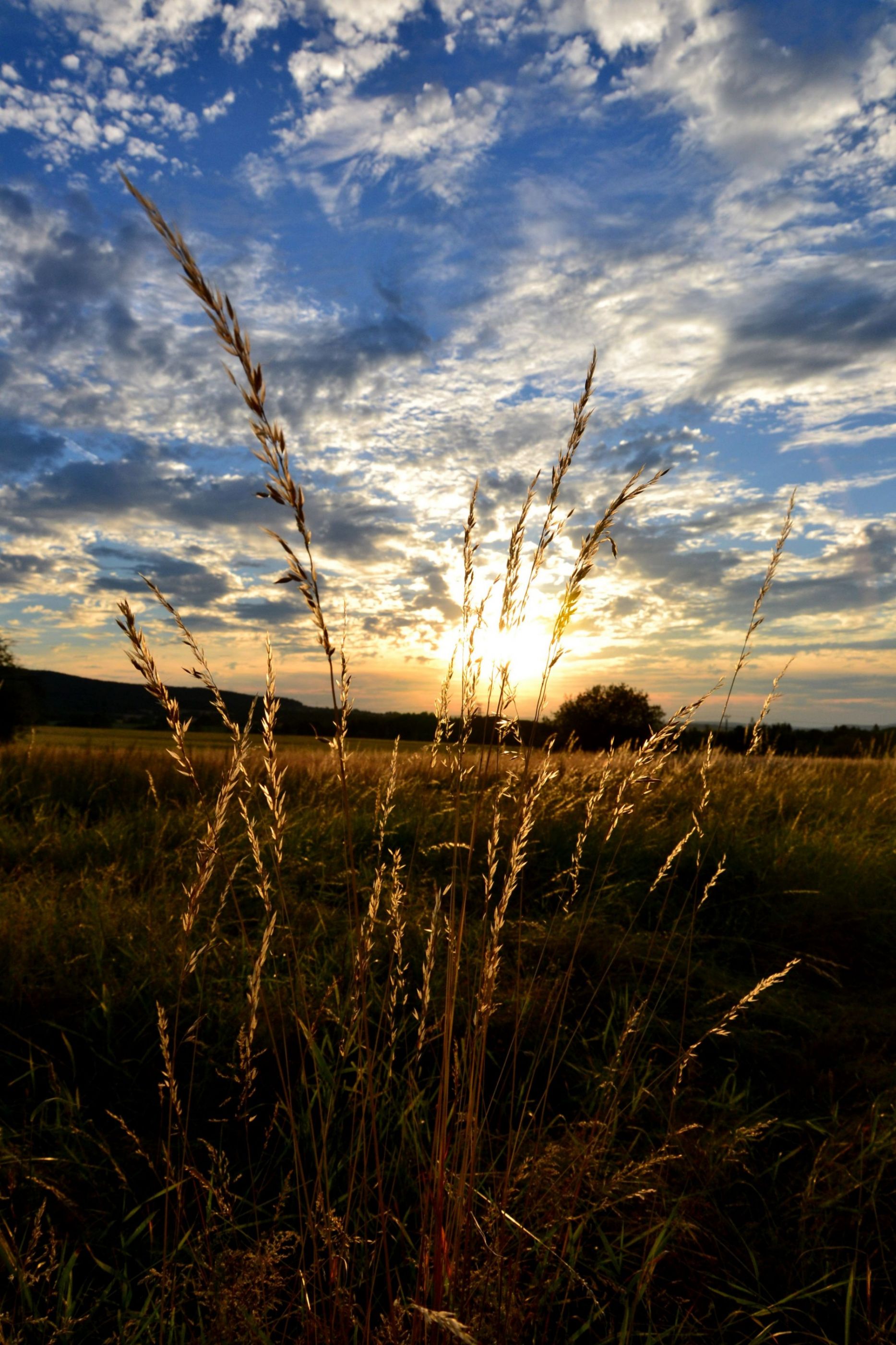 sunset louka